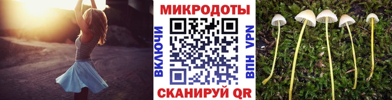 hydra зеркало  Камызяк  Псилоцибиновые грибы GOLDEN TEACHER  купить наркотики цена 